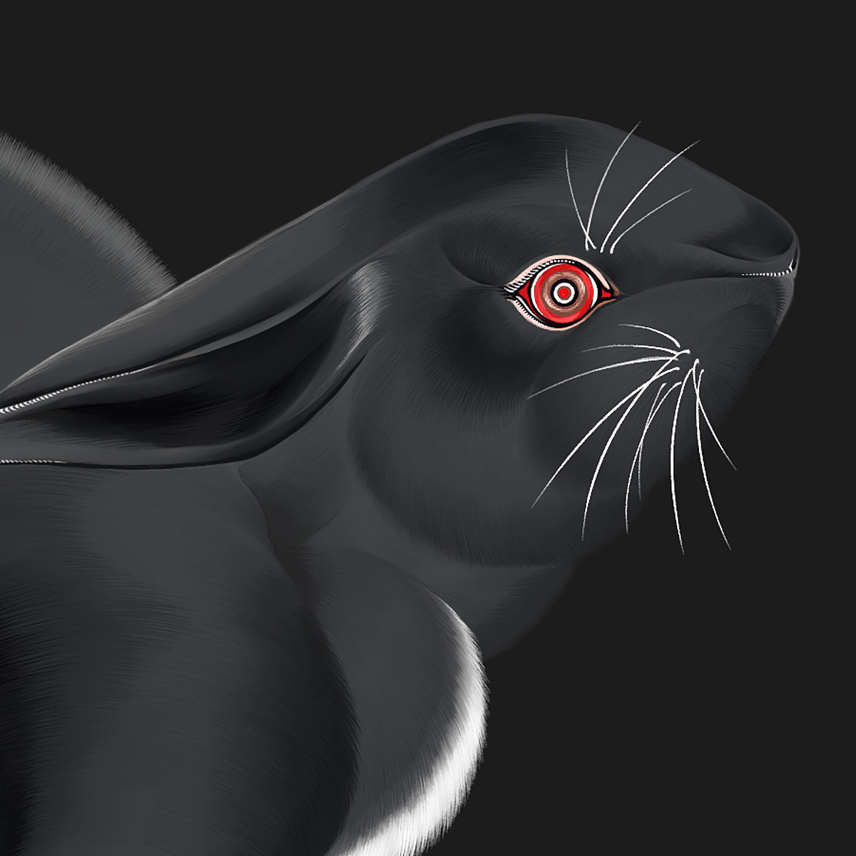 2023年ZINKうさぎのビジュアル（黒）